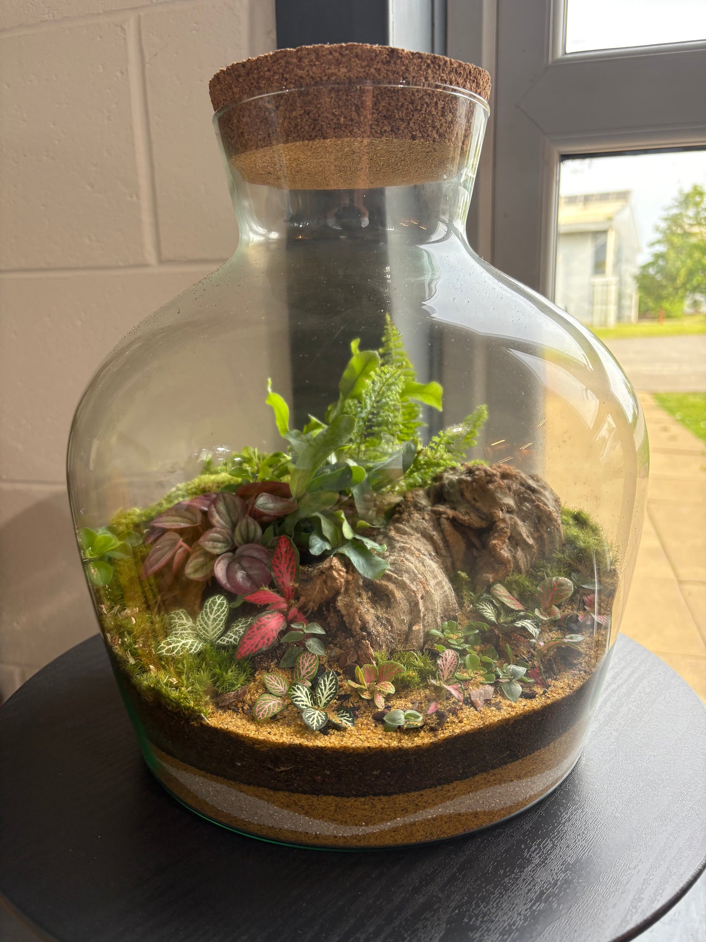 Ready-made Terrarium – Matthew Jar