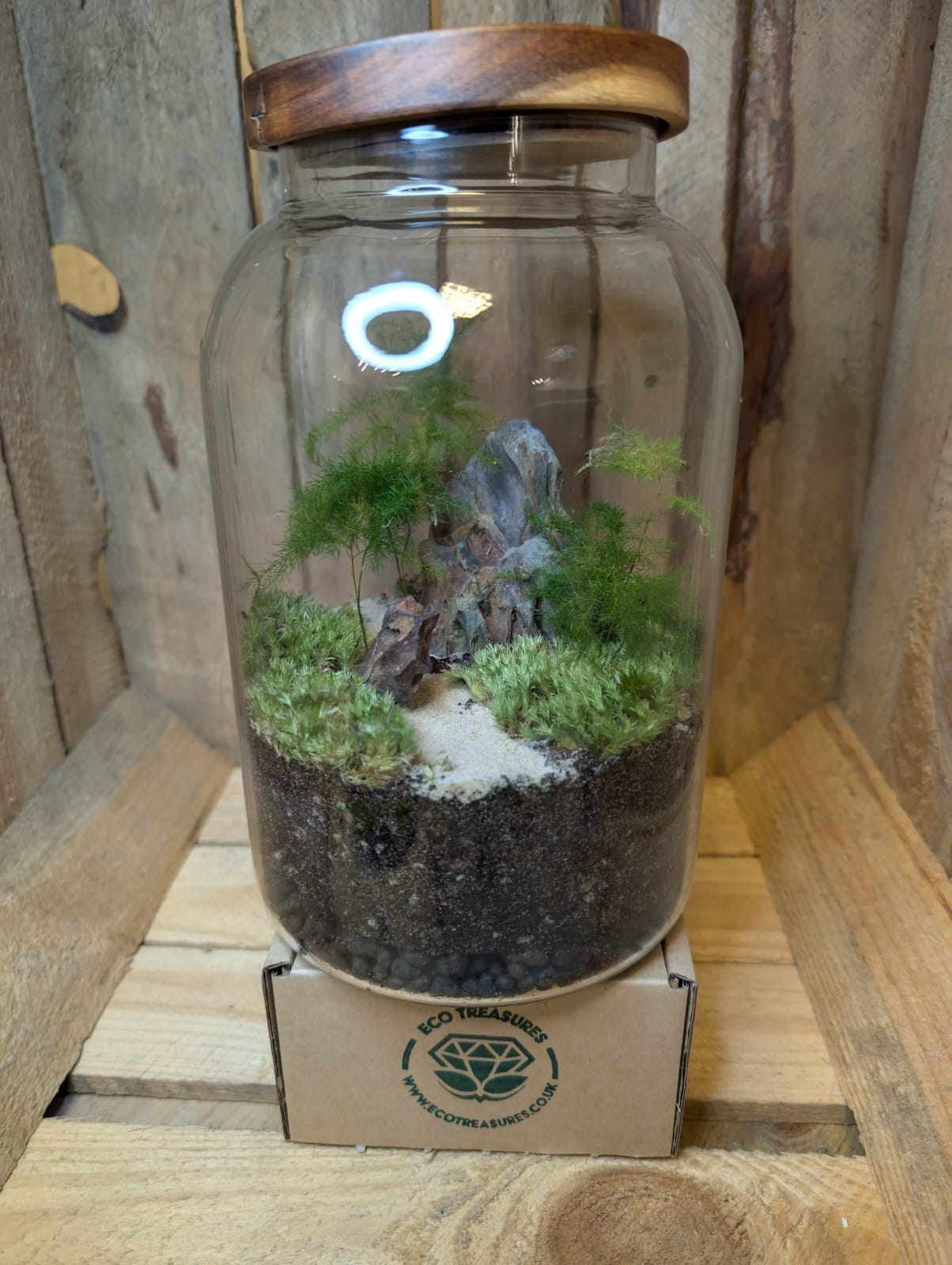 Large Ready-made Terrarium - 'Damien'