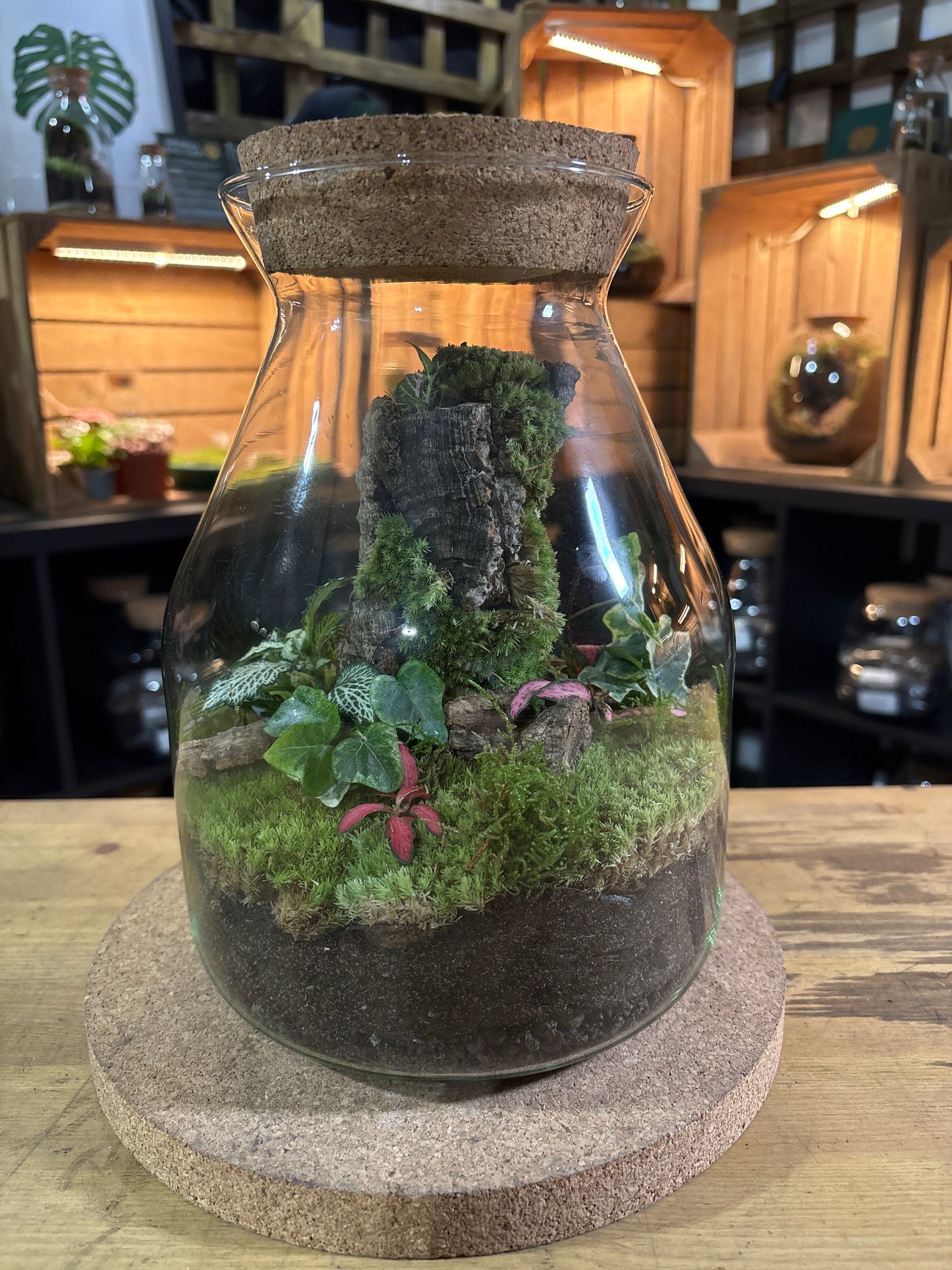 Ready-made Terrarium – Jamie Jar