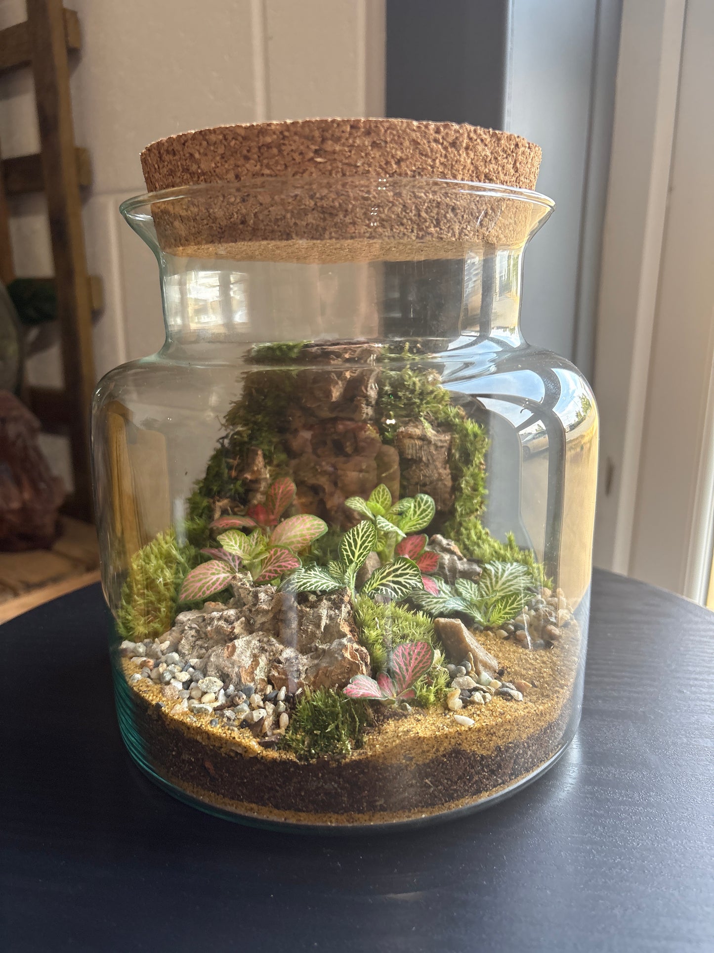 Ready-made Terrarium – Paige