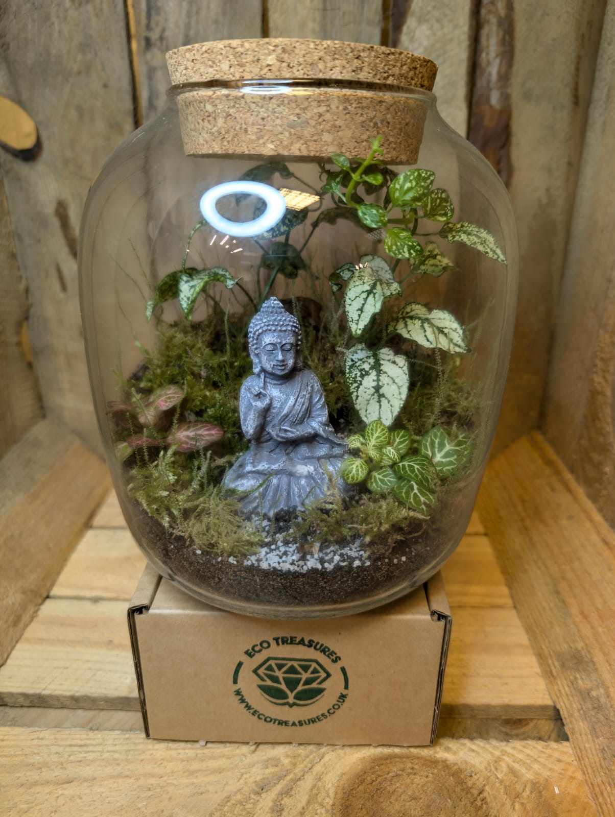 Large Ready-made Terrarium - 'Sally'