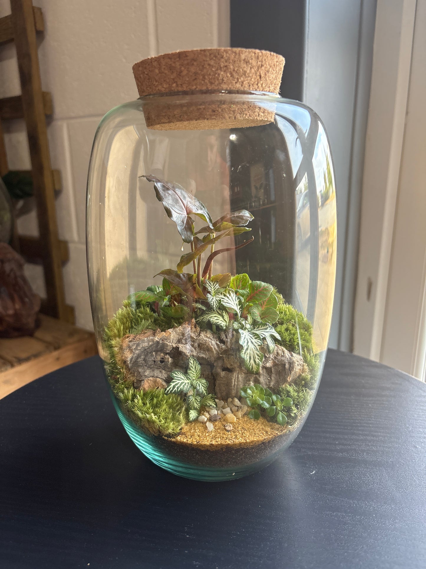 Ready-made Terrarium – Izzy