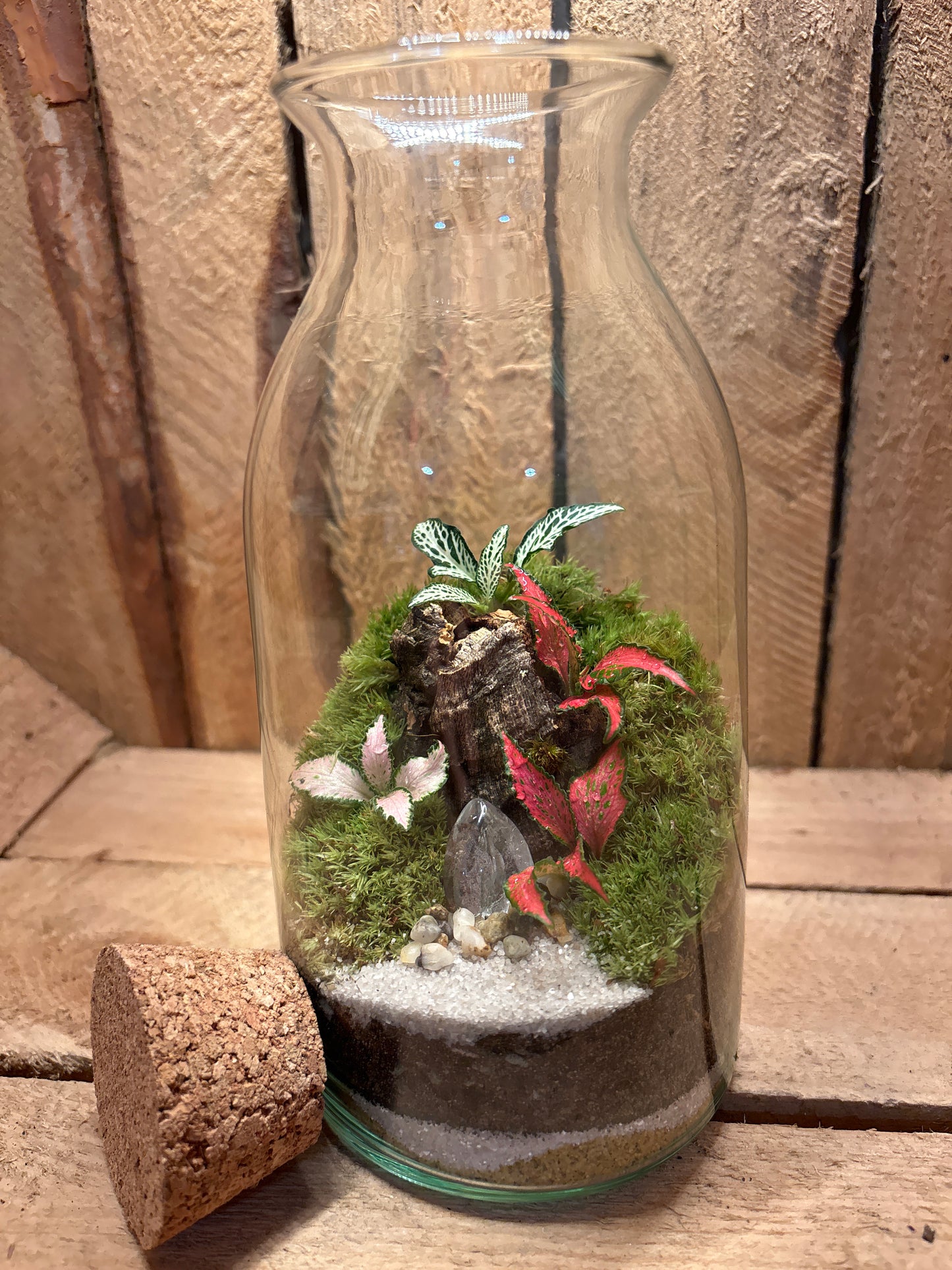Ready-made Terrarium – Chloe Jar
