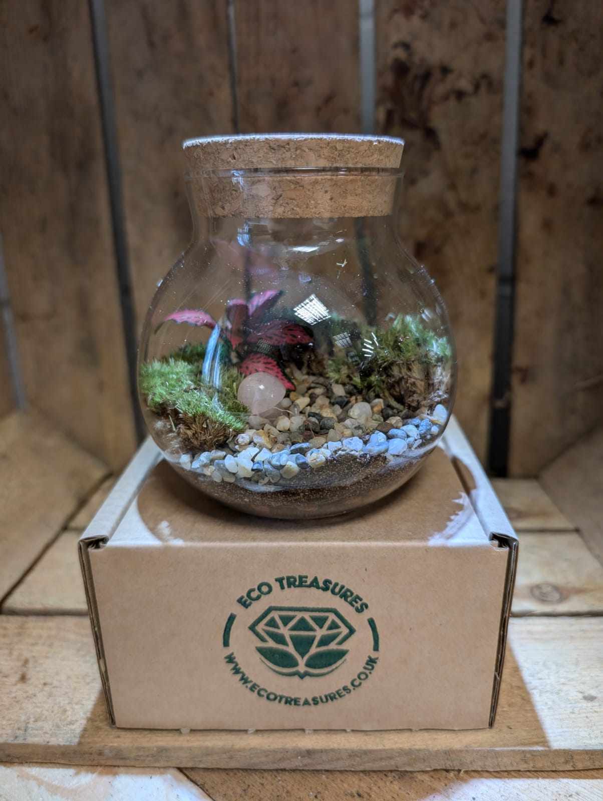 Small Ready-made Terrarium - 'Charles'