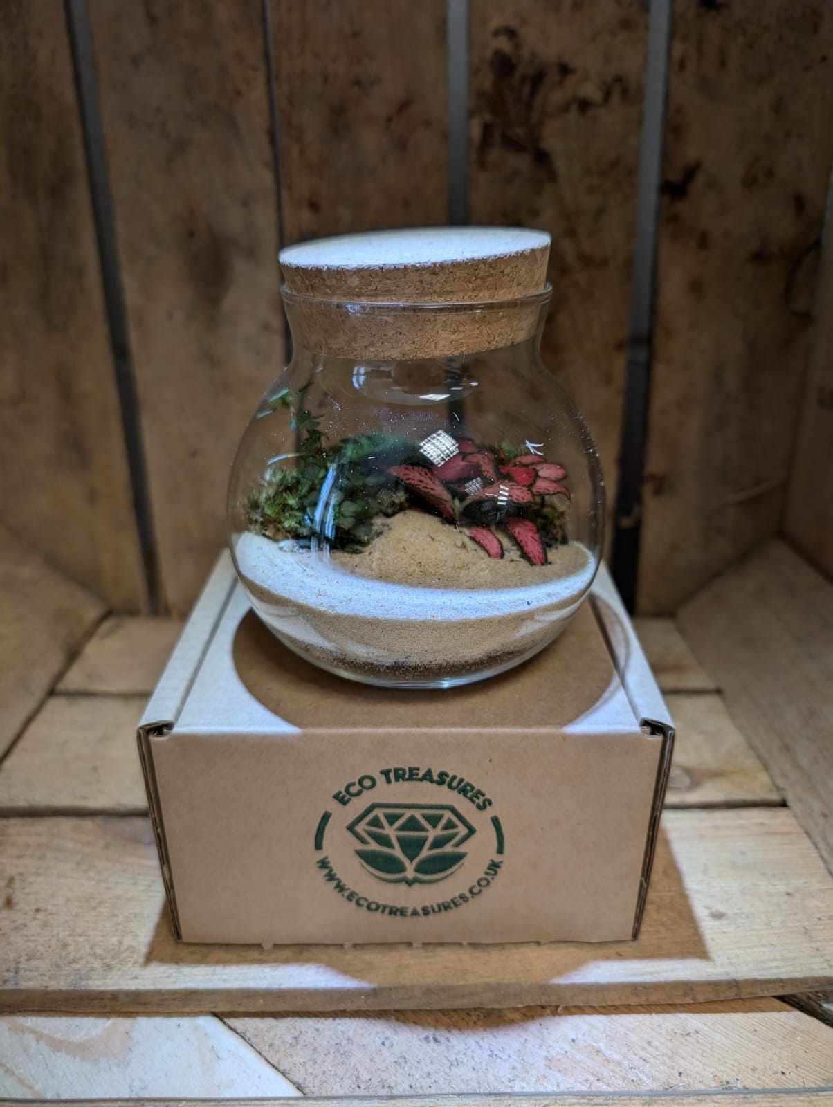 Small Ready-made Terrarium - 'Danielle'