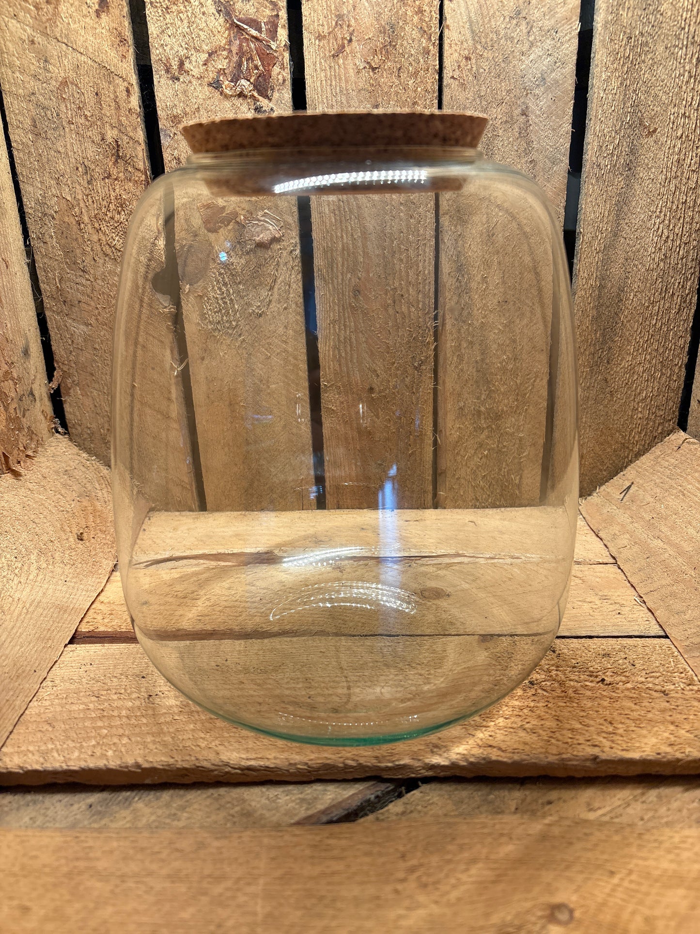 Ready-made Terrarium – Anna Jar