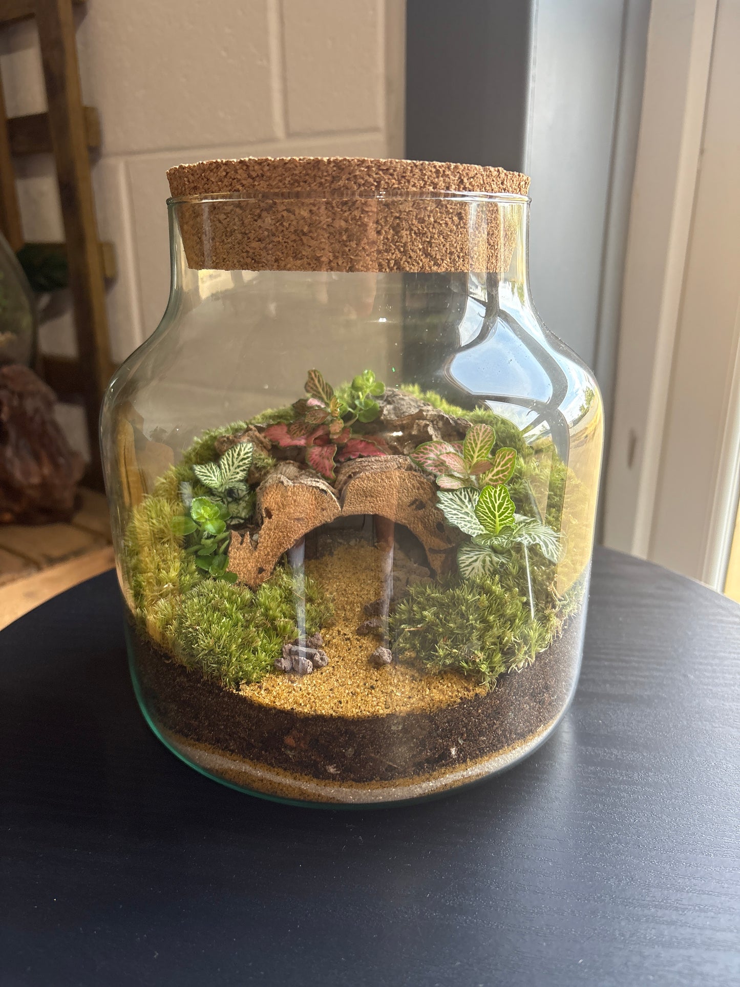 Ready-made Terrarium – Zoey