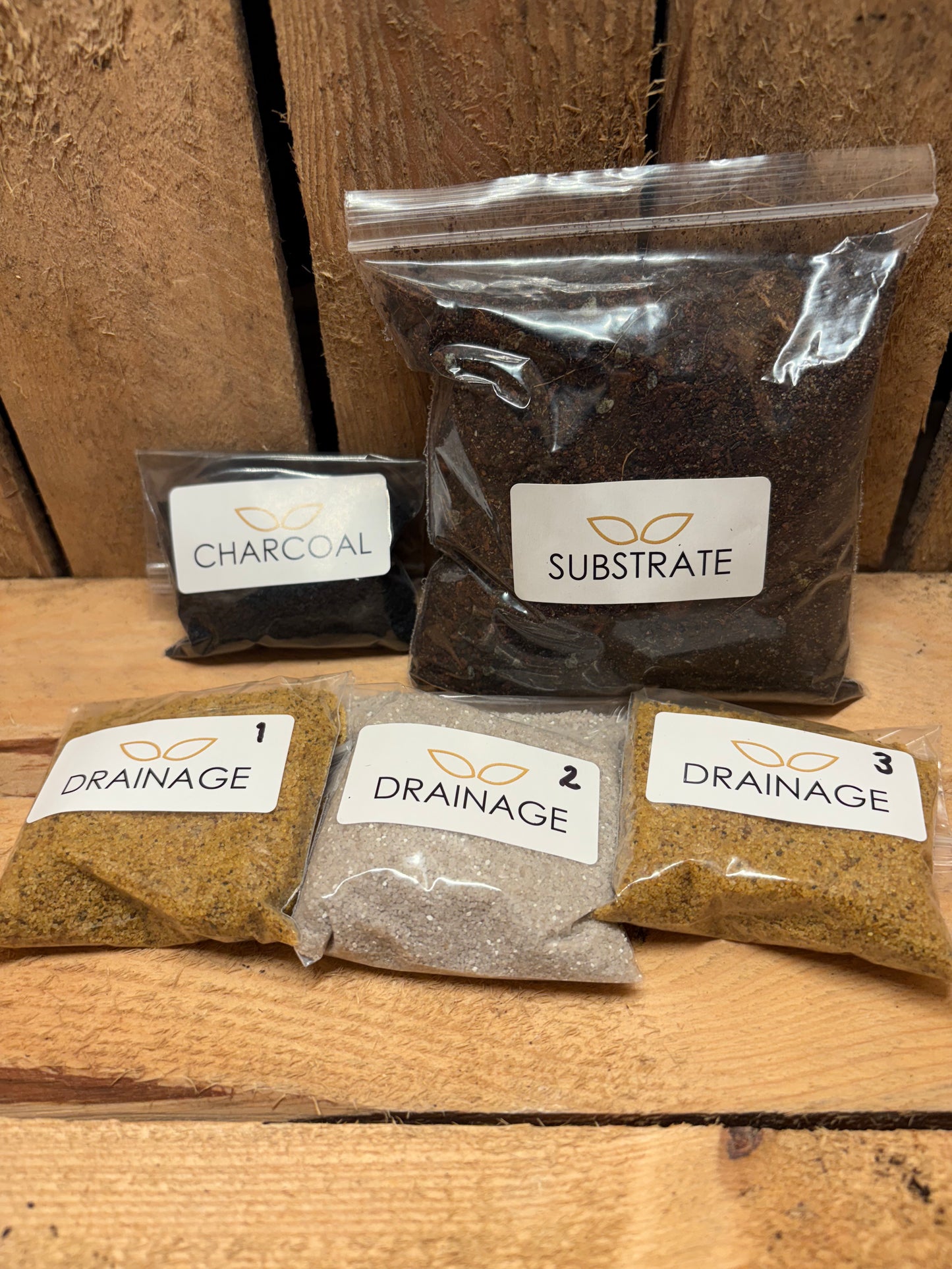 DIY Terrarium Kit - 'Chloe'