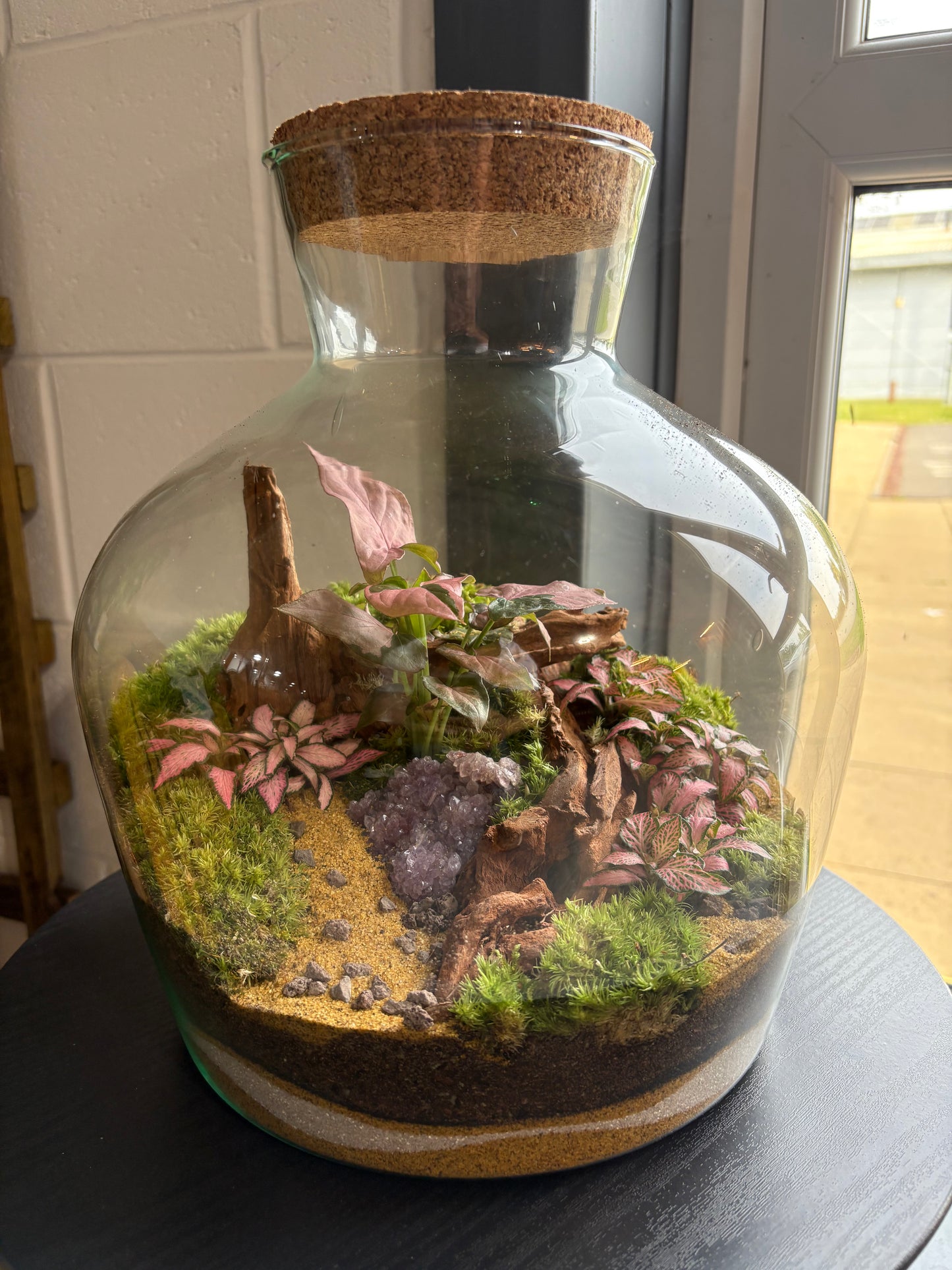 Ready-made Terrarium – Matthew Jar