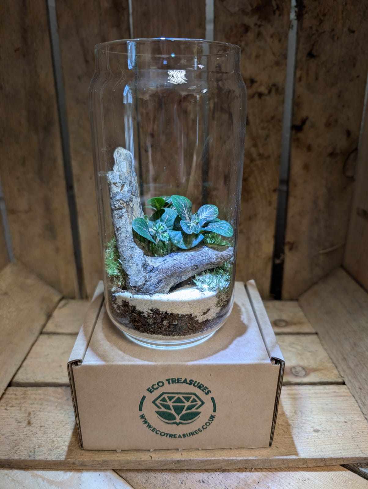 Medium Ready-made Terrarium - 'Laura'
