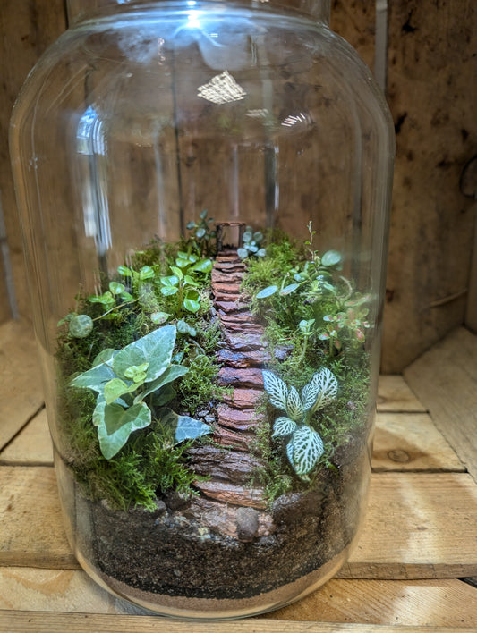 Large Ready-made Terrarium - 'Jasmine'