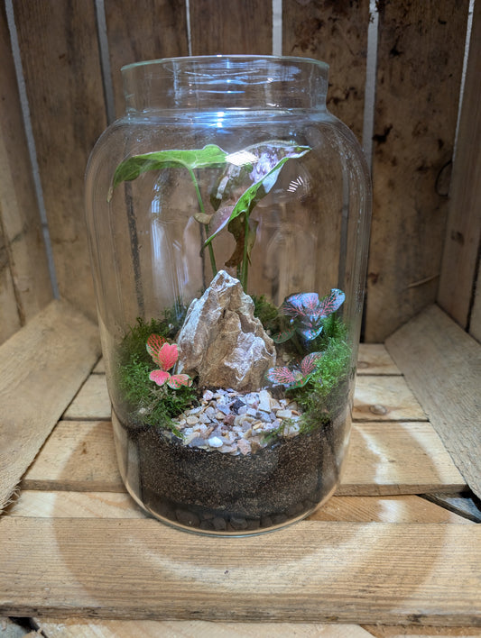 Large Ready-made Terrarium - 'Patsie'