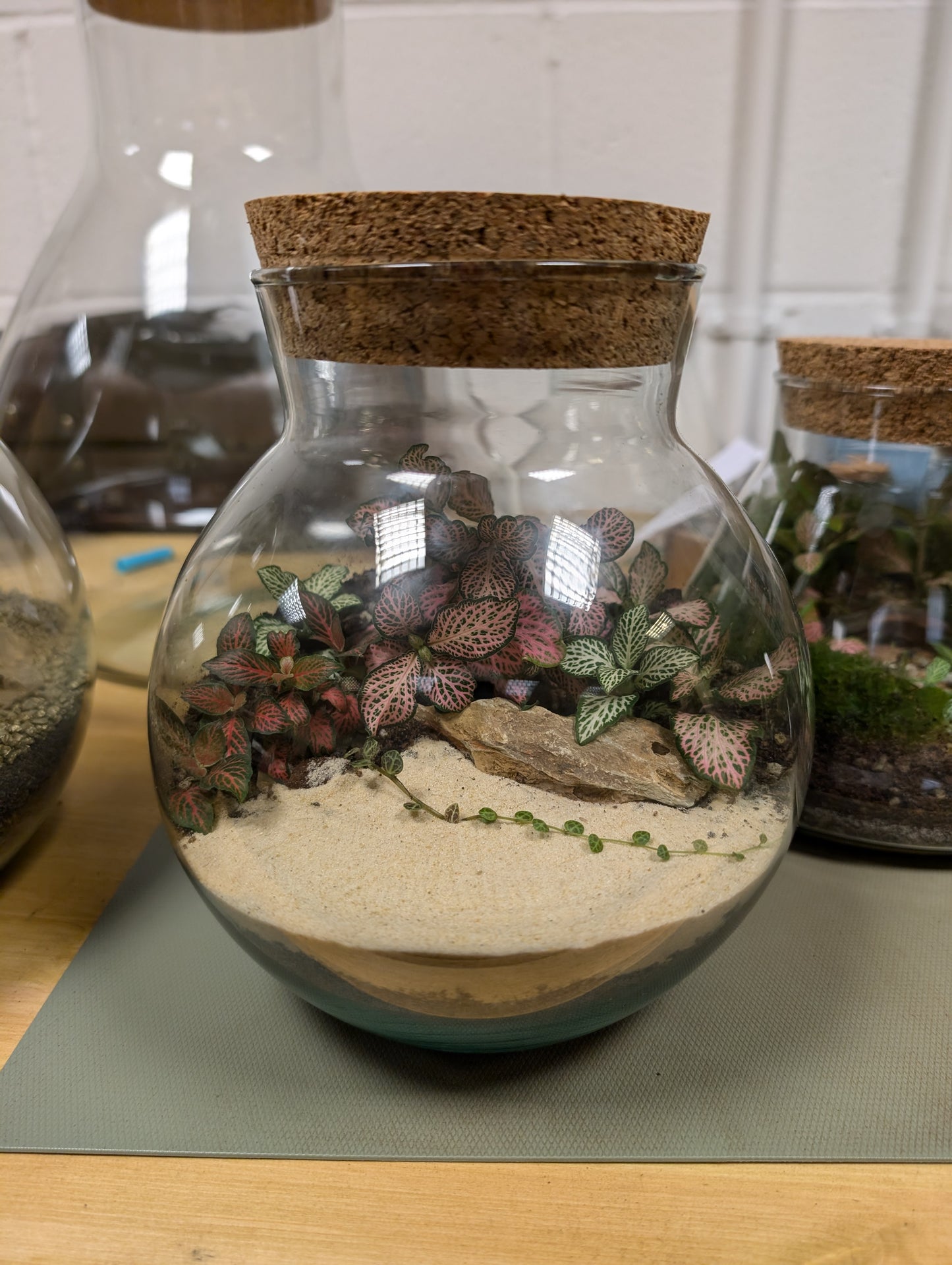 Tiktok LIVE special - Linzi