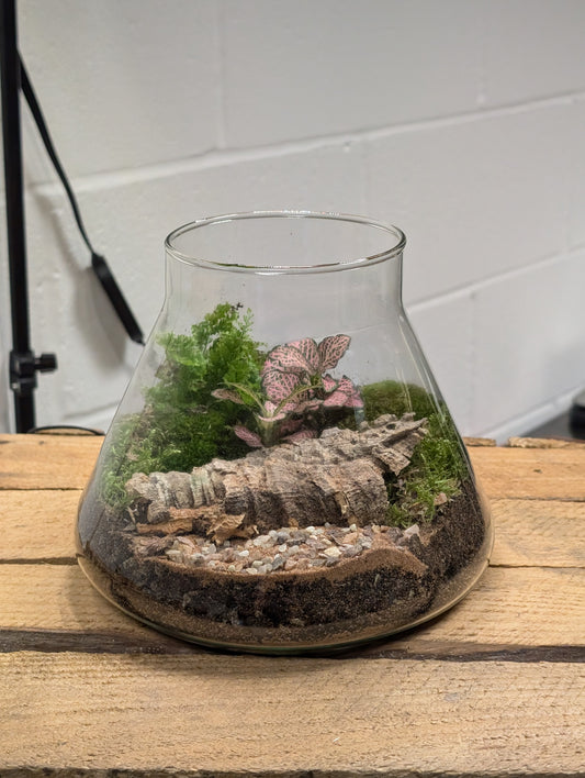 Medium Ready-made Terrarium - 'Geraldine'