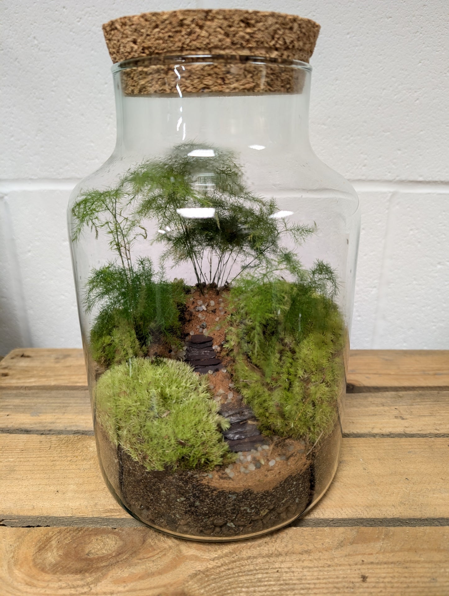 Large Ready-made Terrarium - 'Samantha'