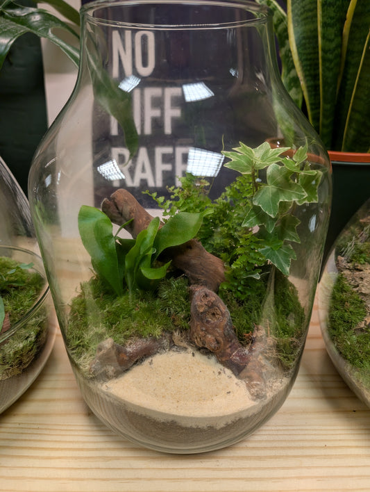 Large Ready-made Terrarium - 'Scarlett'