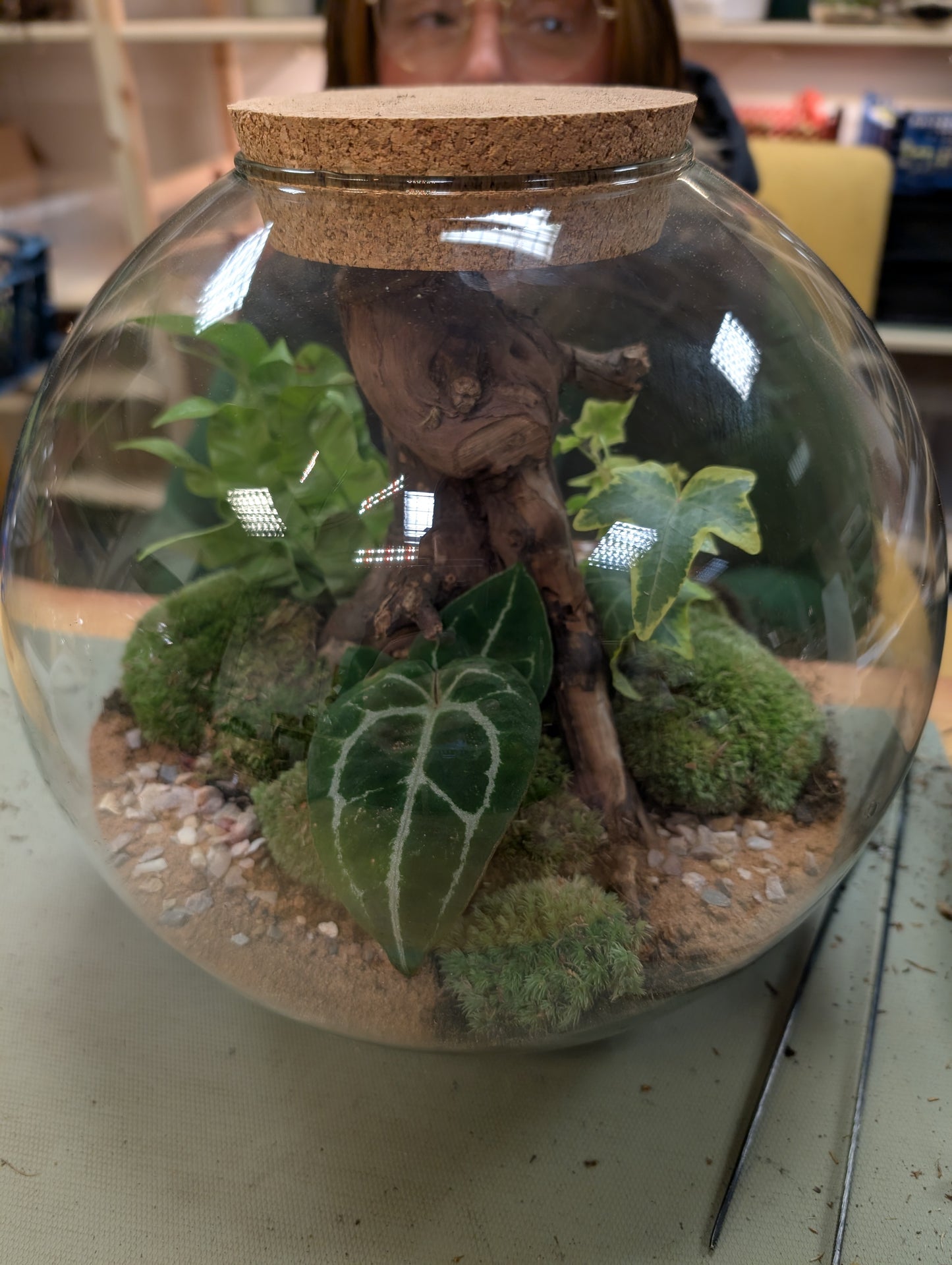 Large Ready-made Terrarium - 'Dawn'