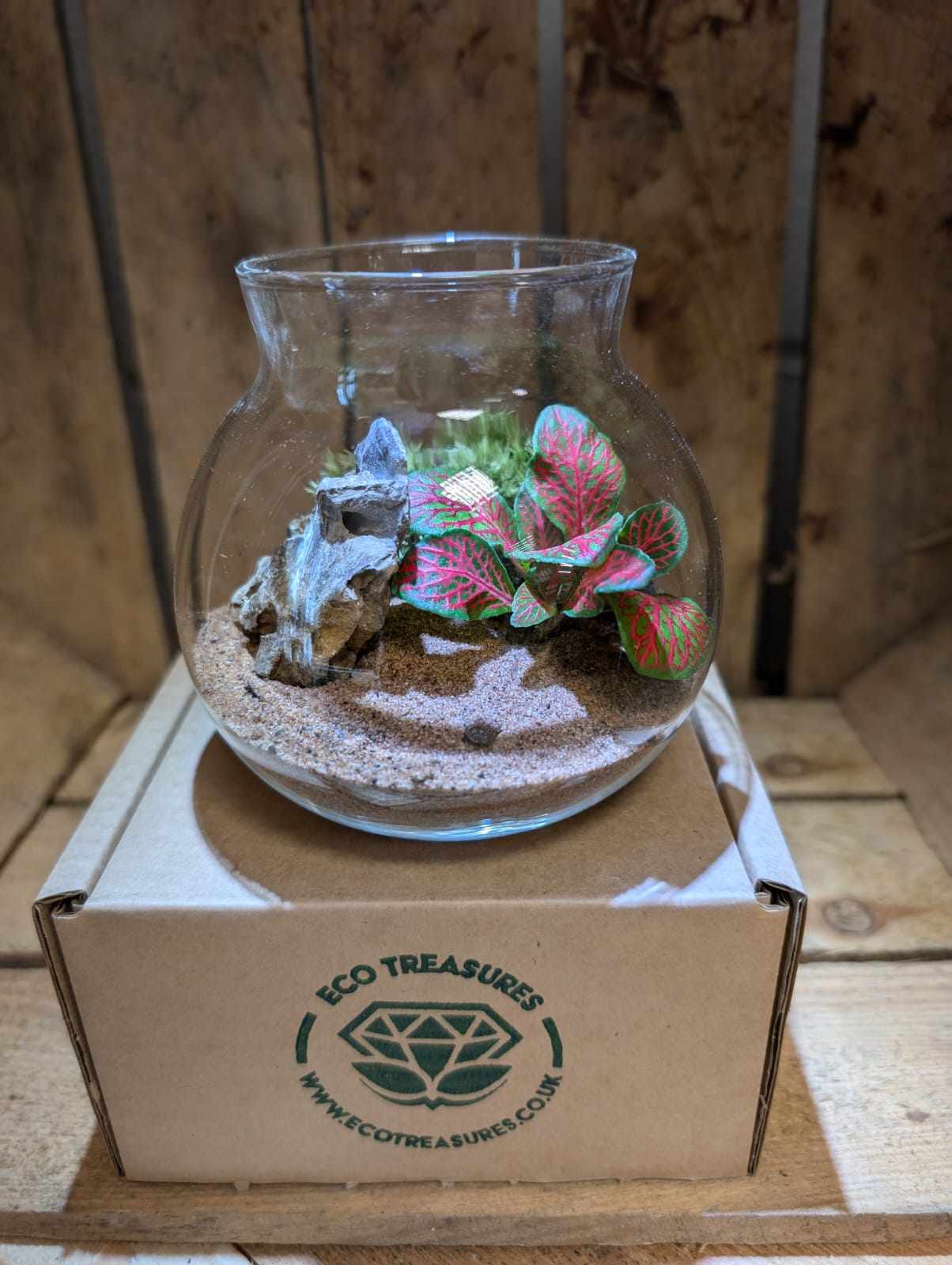Small Ready-made Terrarium - 'Ruby'