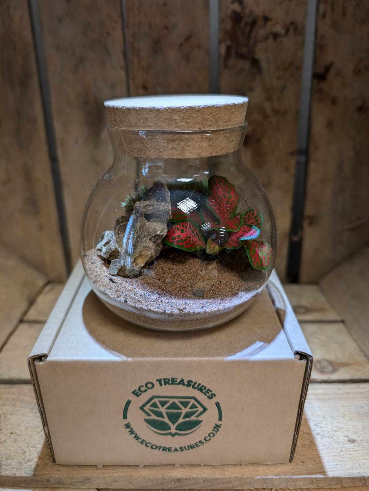 Small Ready-made Terrarium - 'Ruby'