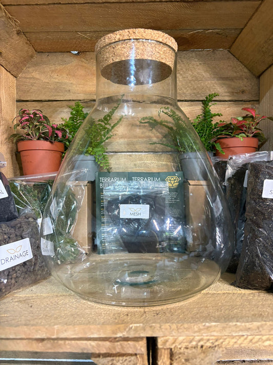 DIY Terrarium Kit - 'Bruce'