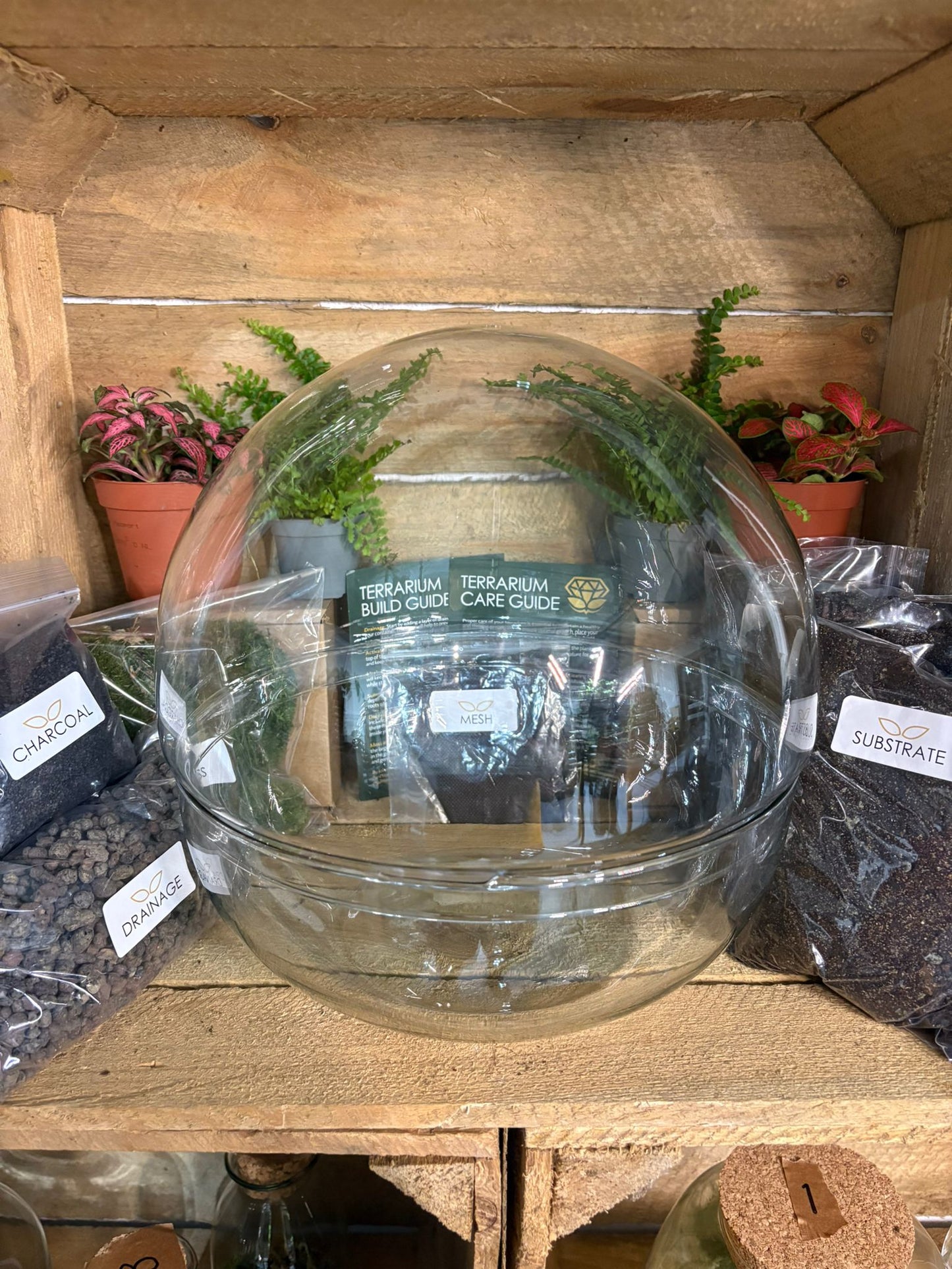 DIY Terrarium Kit - 'Kevin'