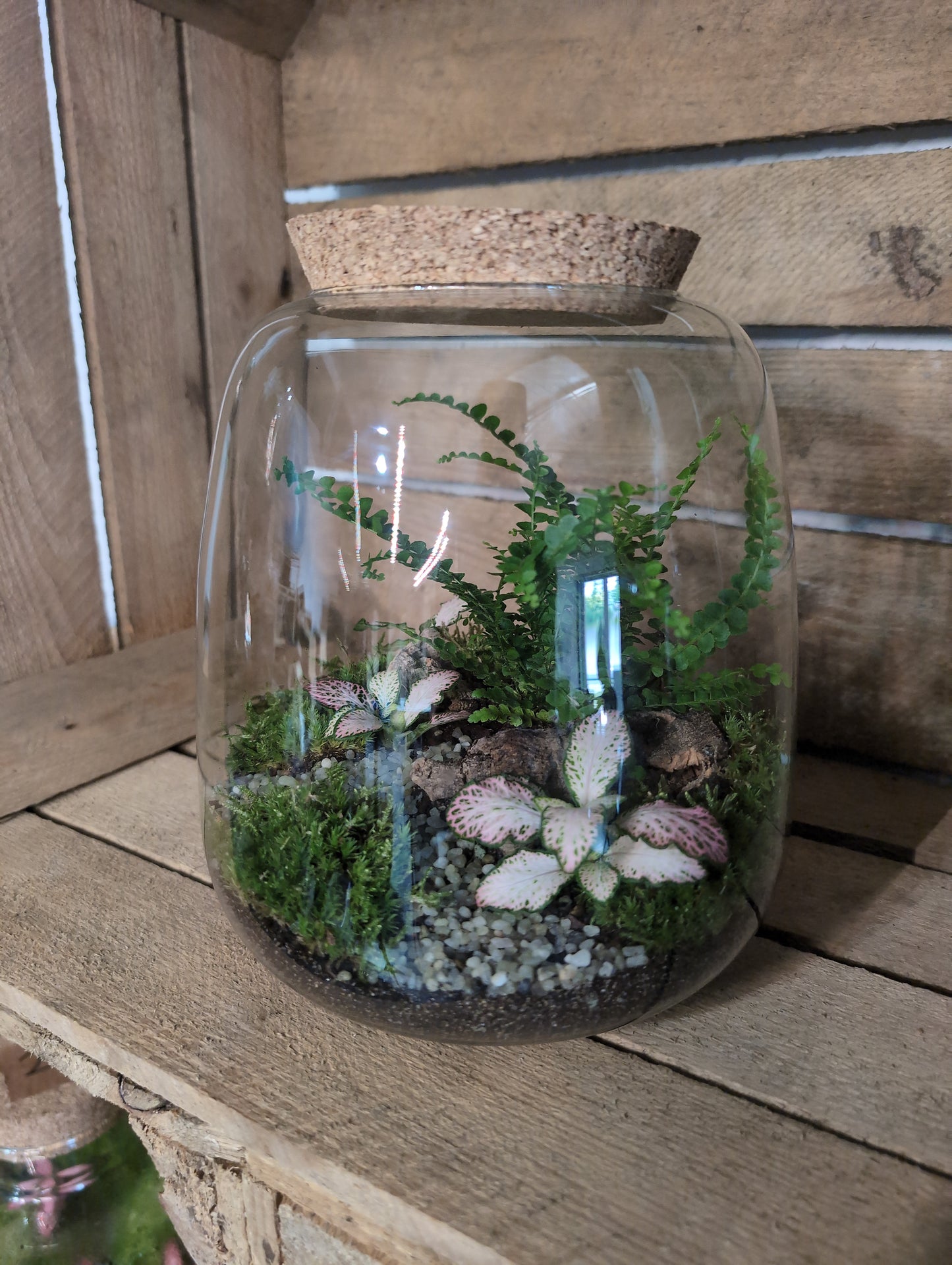 Ready-made Terrarium - 'Anna'