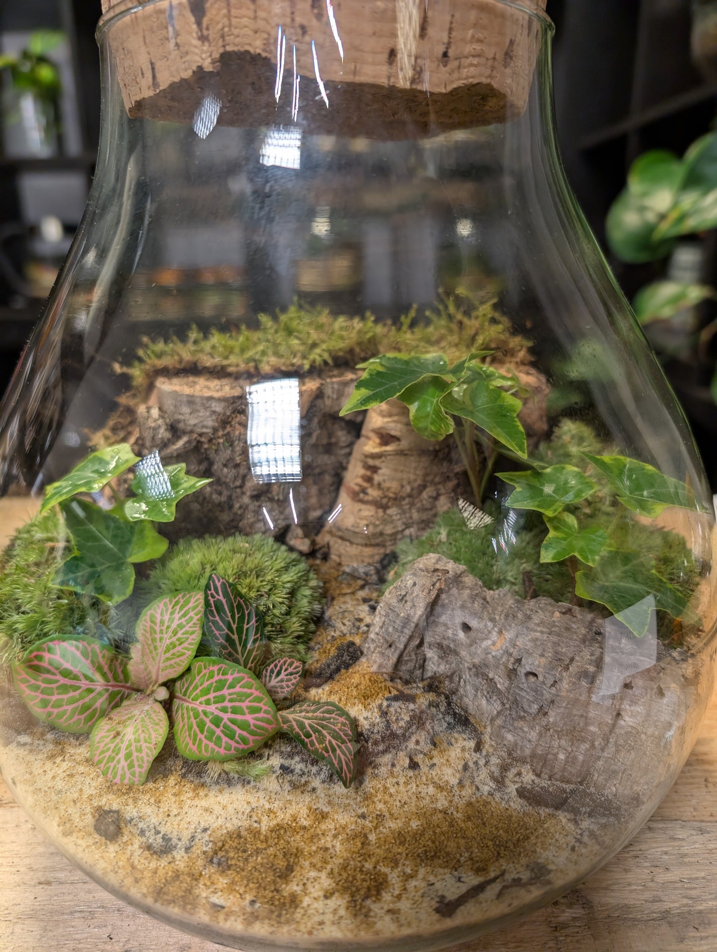 Ready-made Terrarium - 'Delilah'