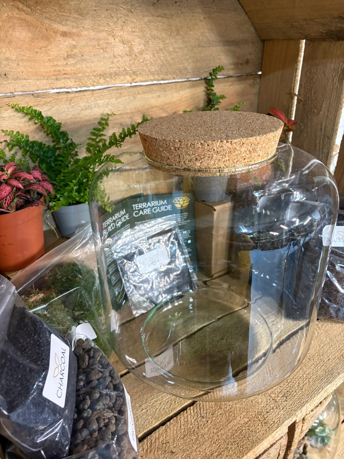 DIY Terrarium Kit - 'Meg'