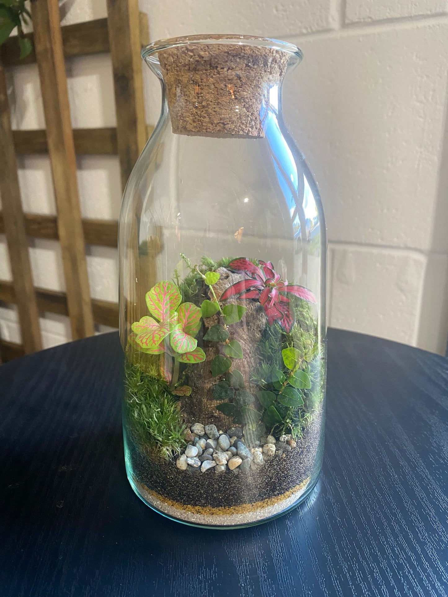 Ready-made Terrarium – Chloe Jar