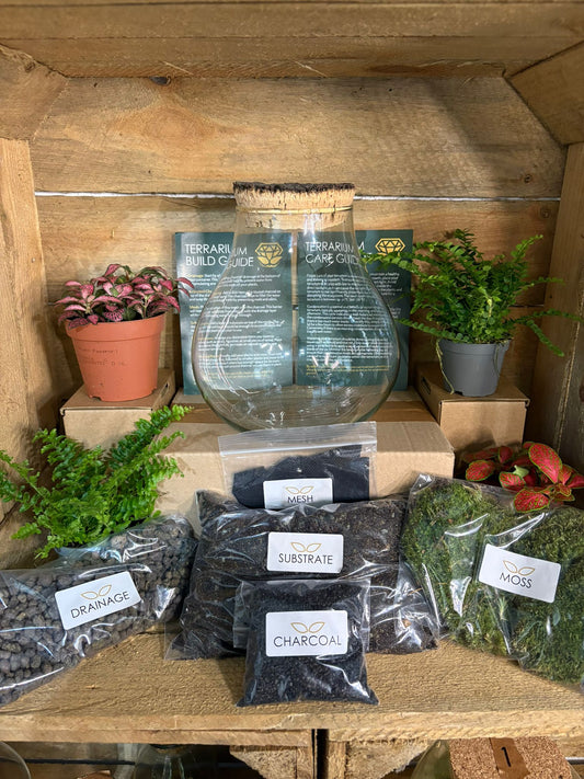 DIY Terrarium Kit - 'Jasmine'