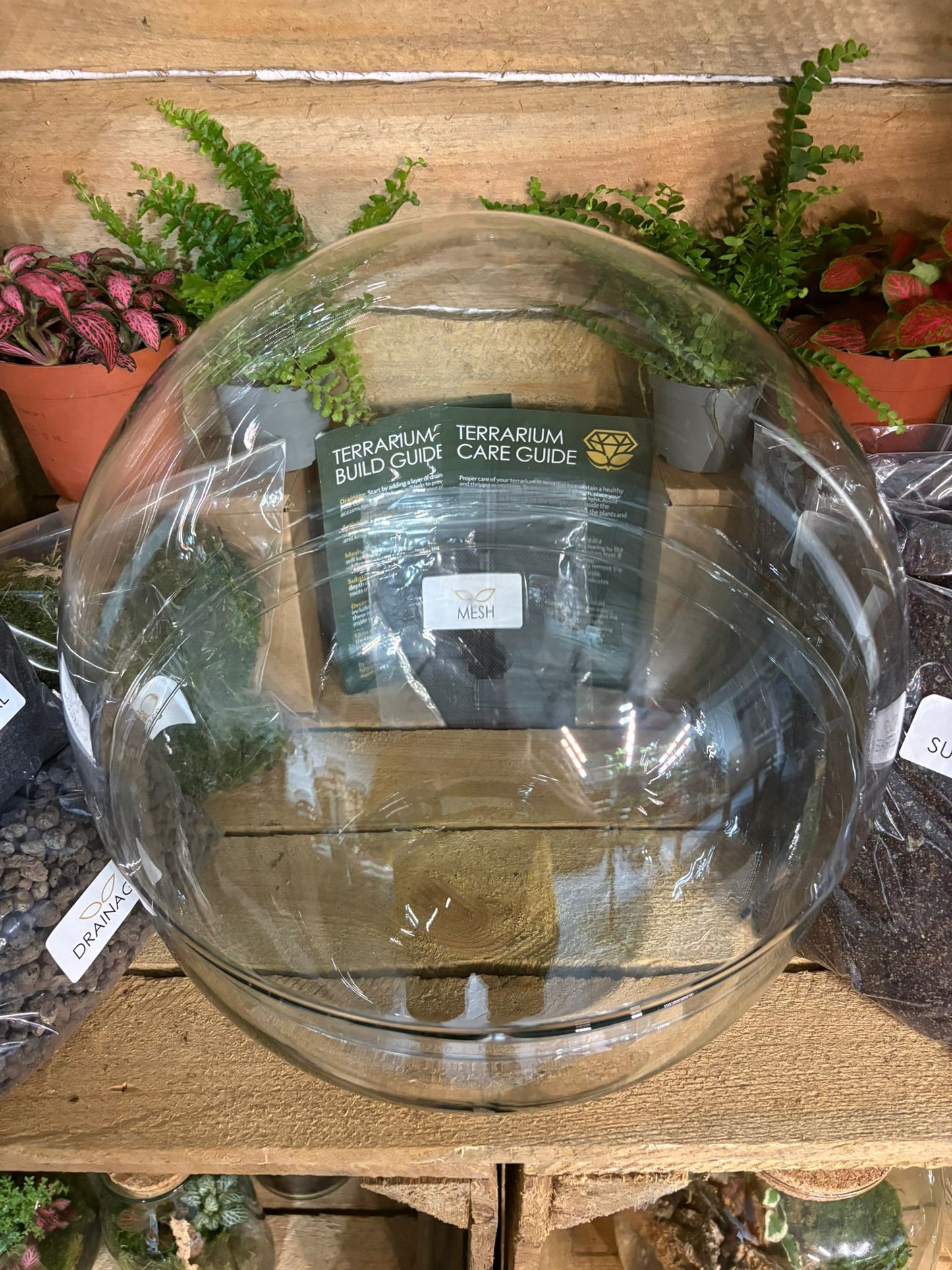 DIY Terrarium Kit - 'Kevin'