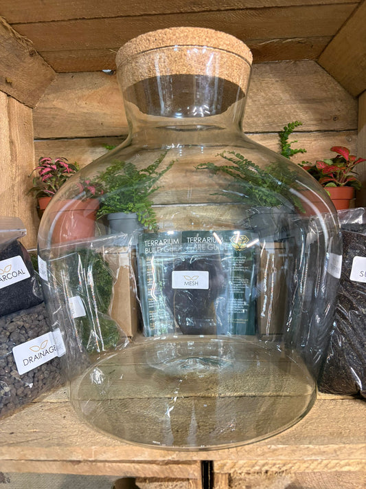 DIY Terrarium Kit - 'Matthew'