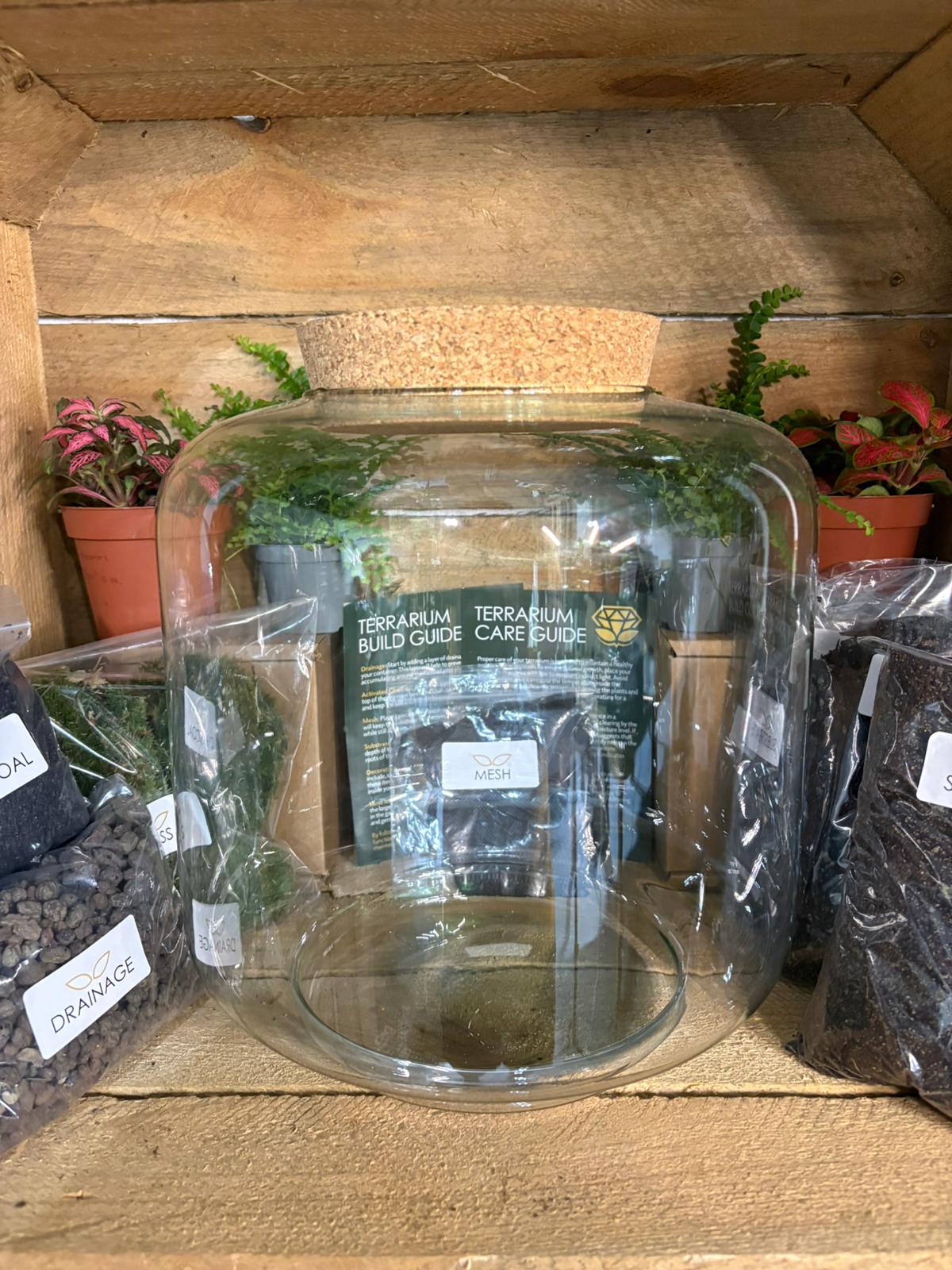 DIY Terrarium Kit - 'Meg'