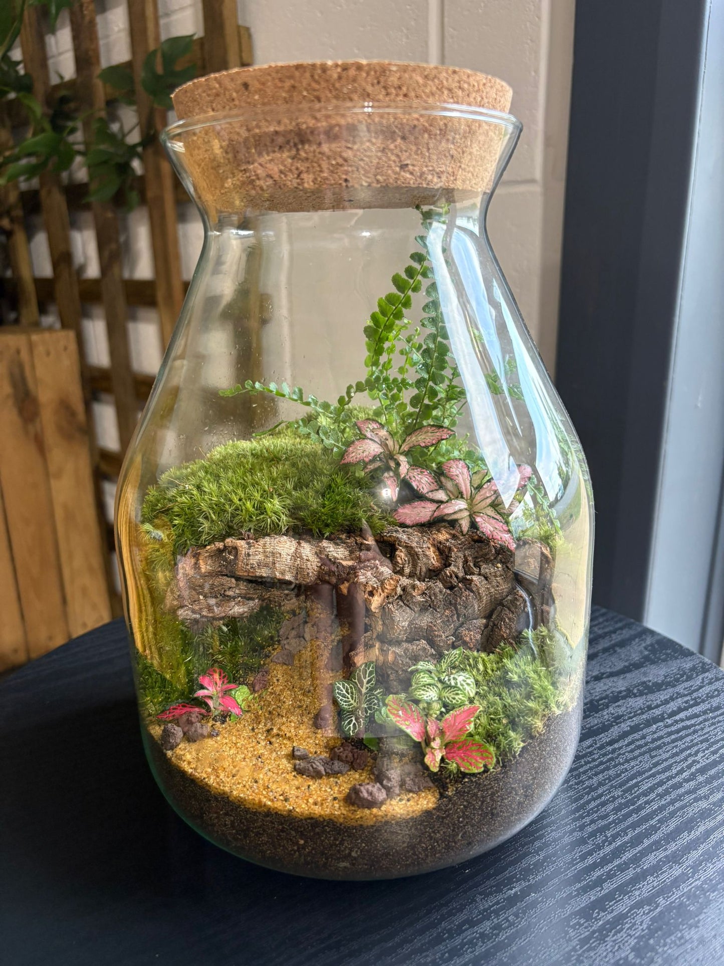 Ready-made Terrarium – Jamie Jar