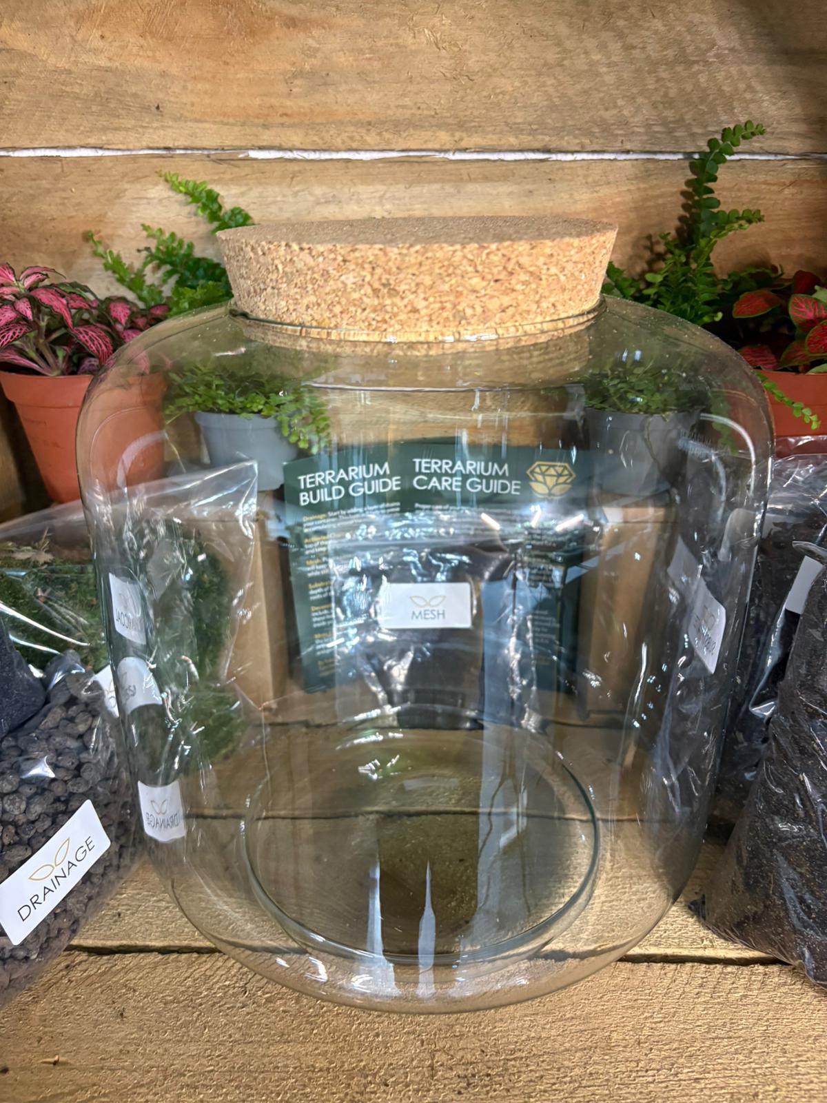 DIY Terrarium Kit - 'Meg'