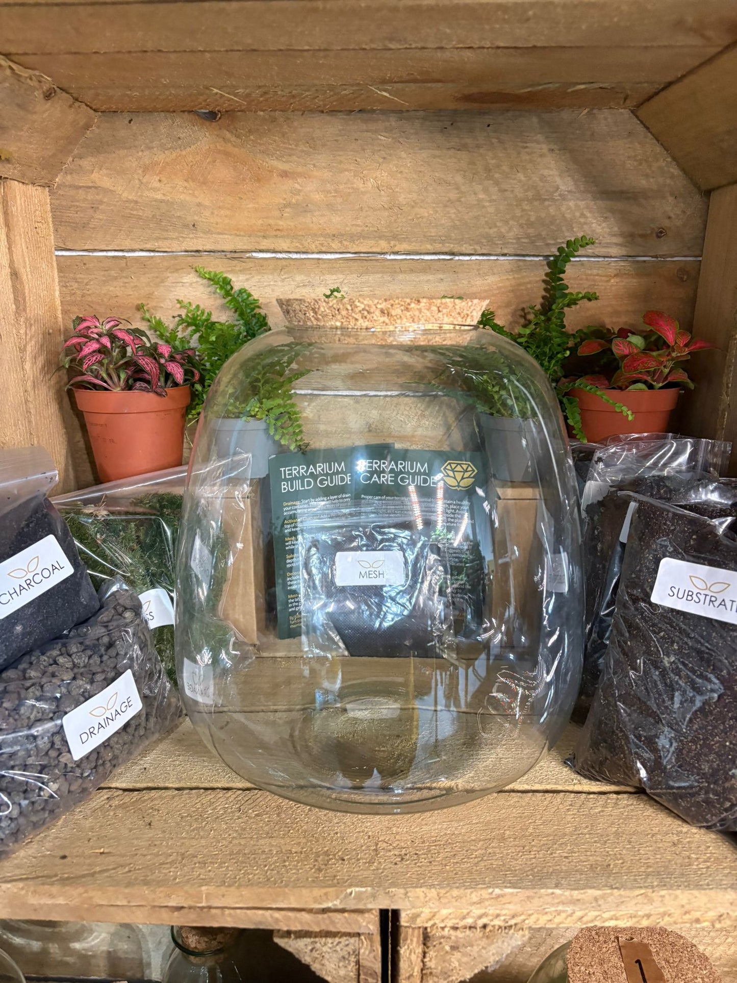 DIY Terrarium Kit - 'Hannah'