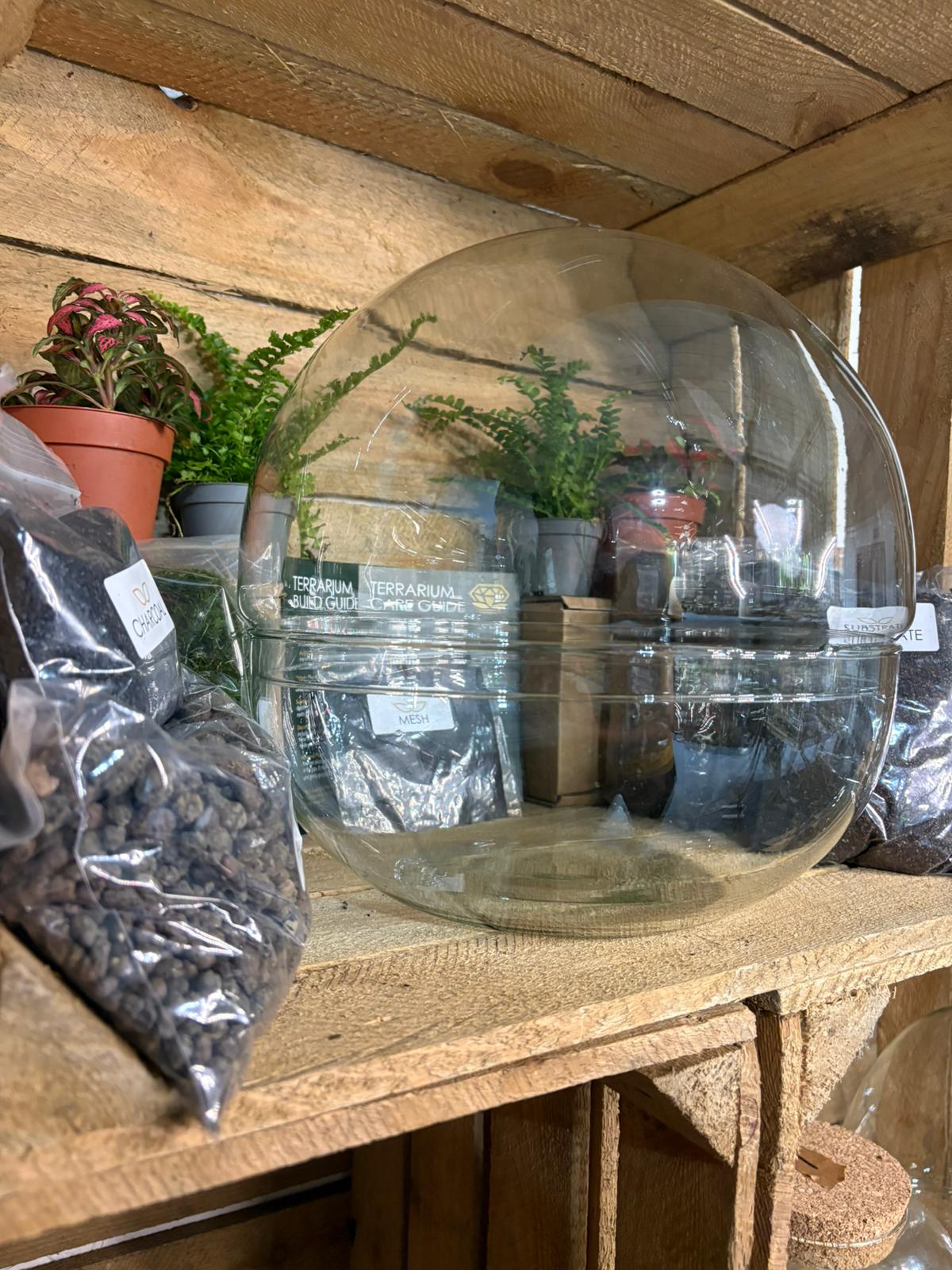 DIY Terrarium Kit - 'Kevin'