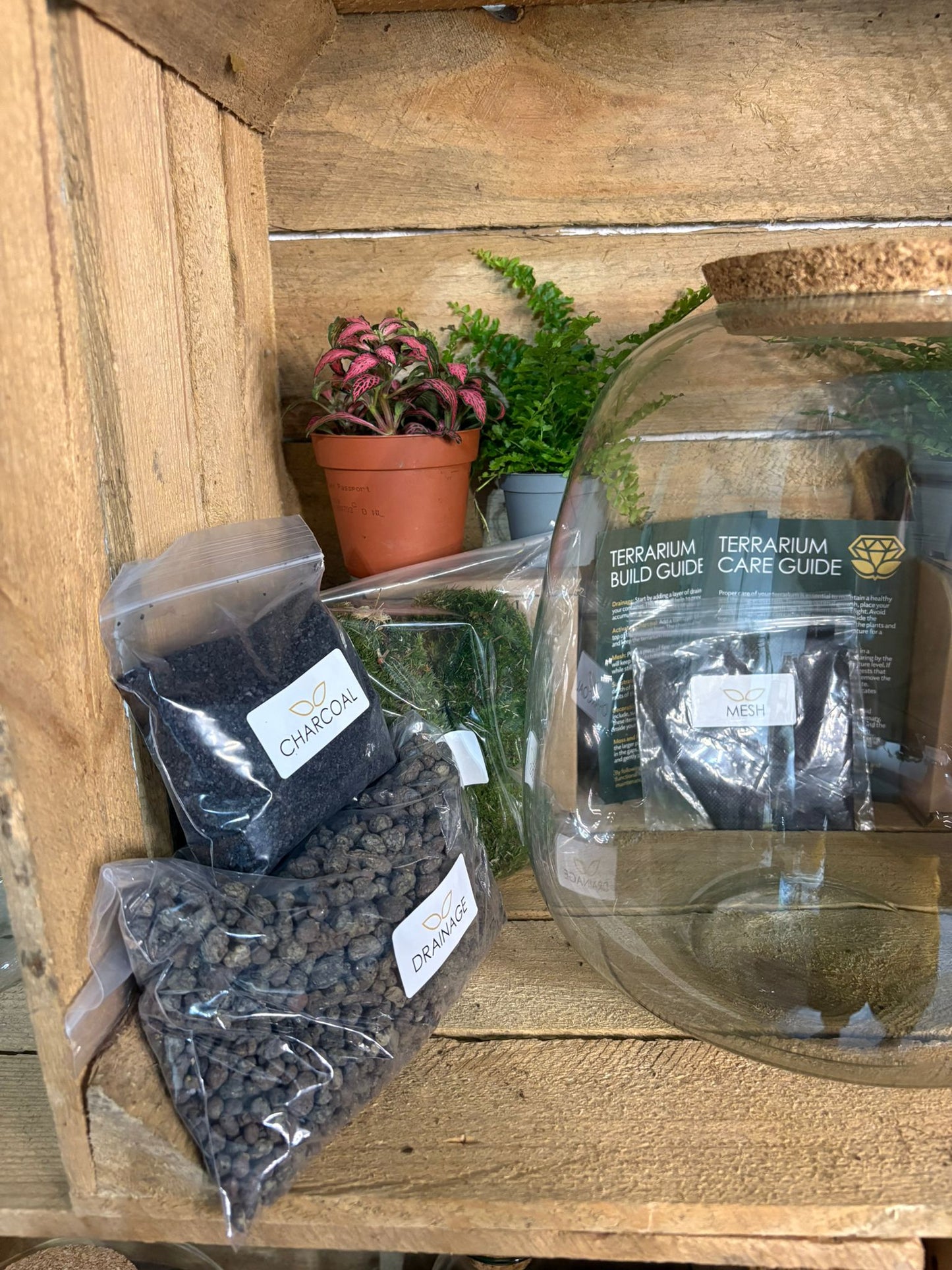 DIY Terrarium Kit - 'Hannah'