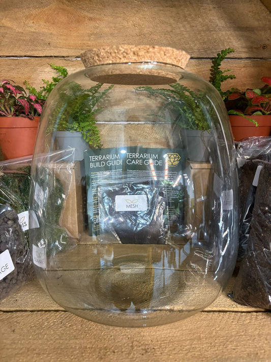 DIY Terrarium Kit - 'Hannah'