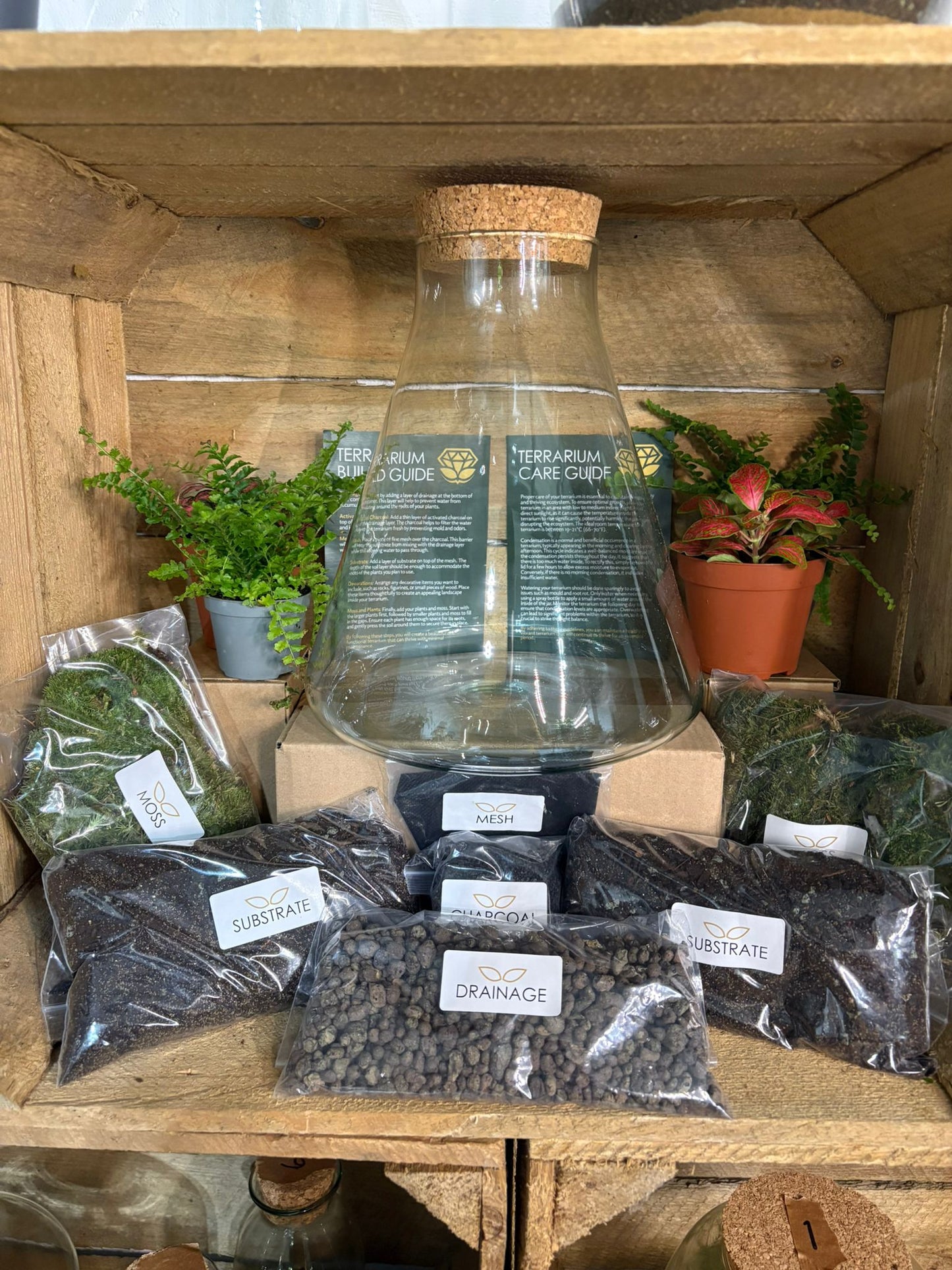 DIY Terrarium Kit - 'Verity'
