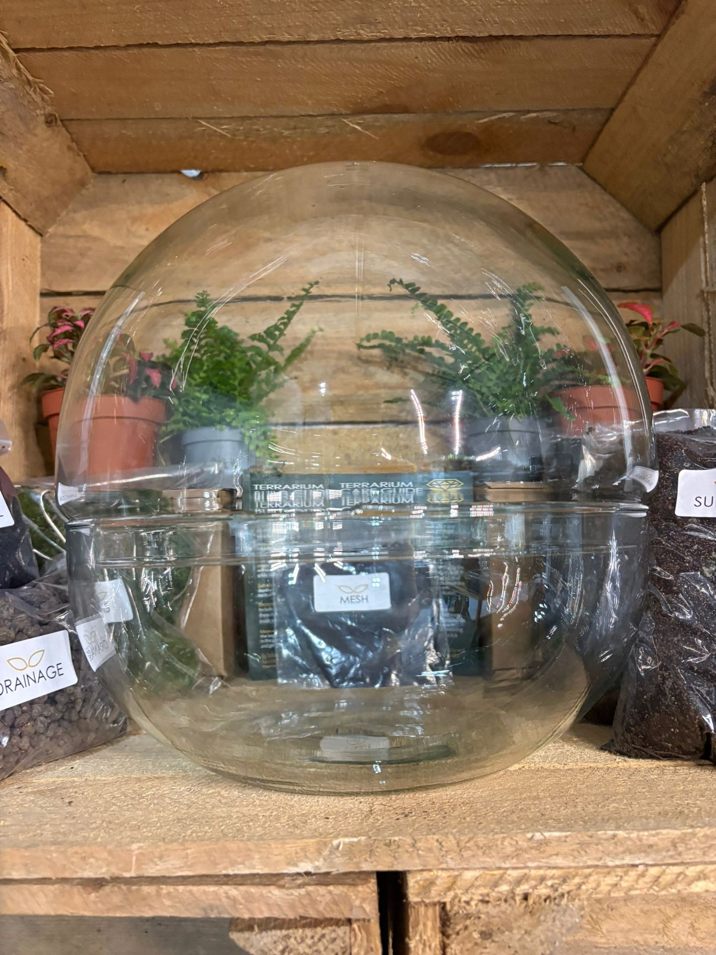 DIY Terrarium Kit - 'Kevin'