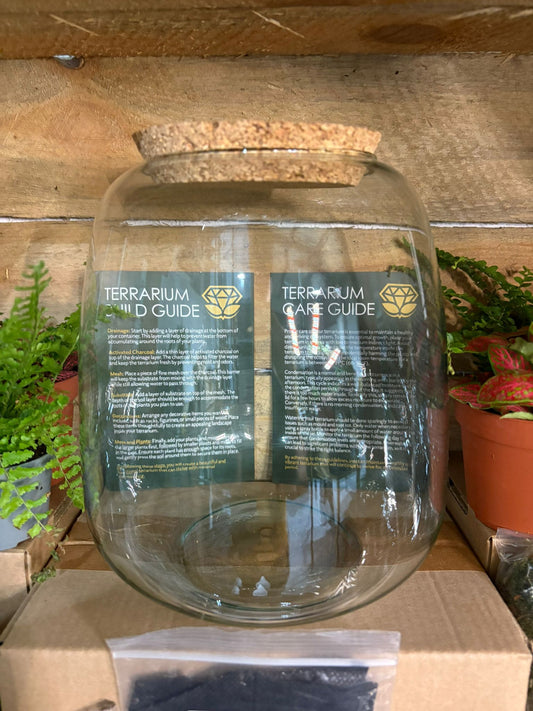 DIY Terrarium Kit - 'Anna'