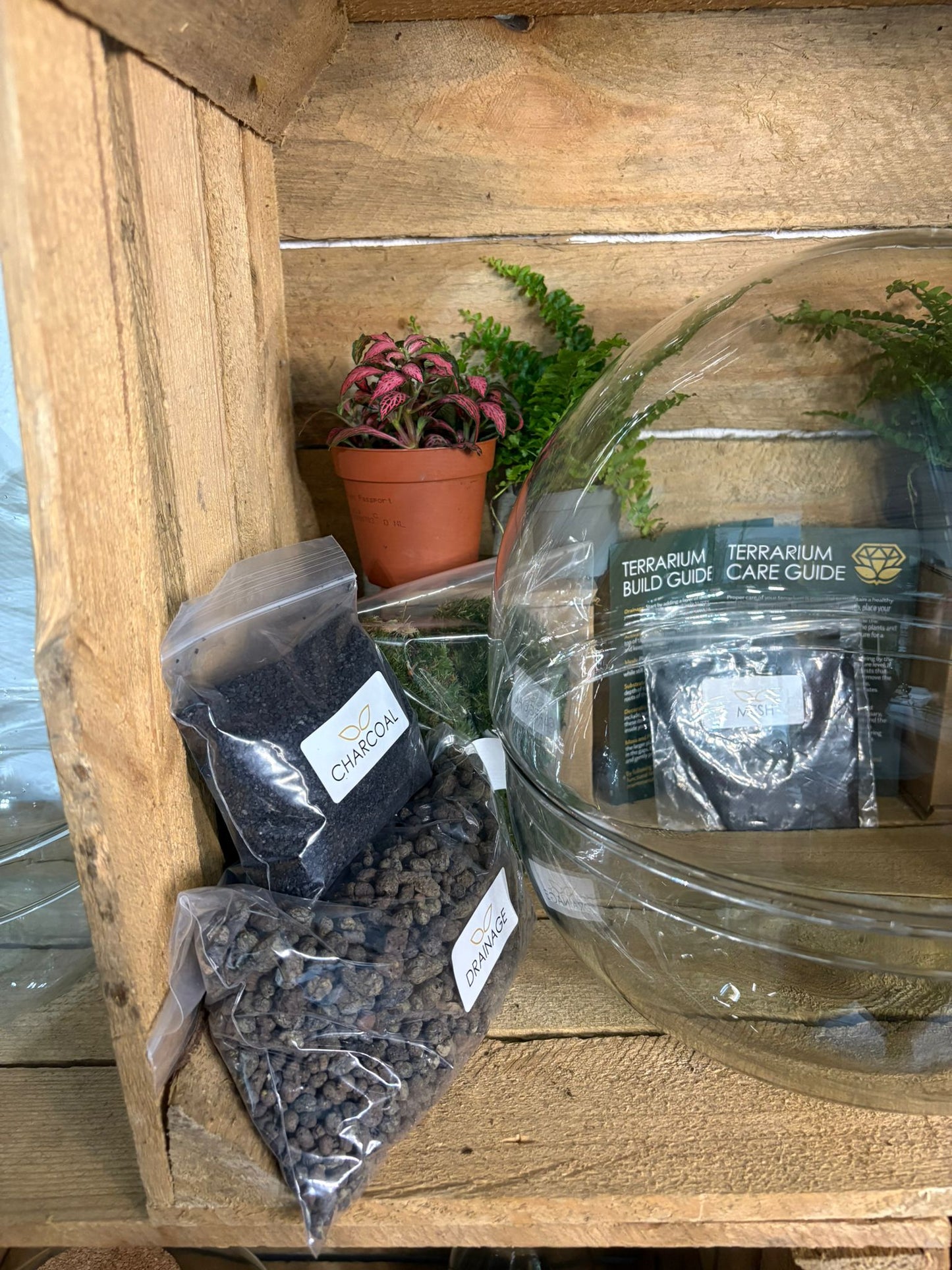 DIY Terrarium Kit - 'Kevin'