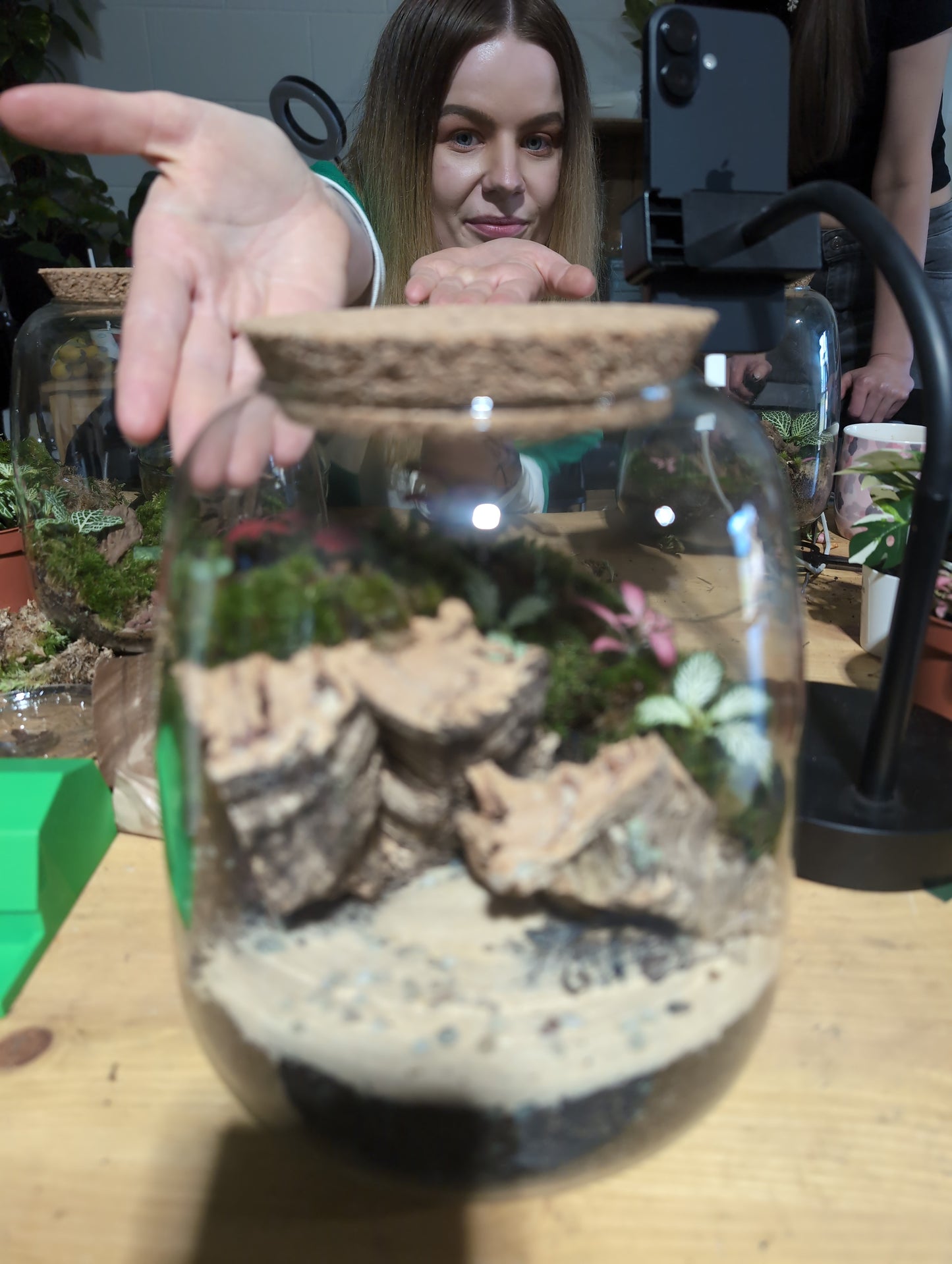 Ready-made Terrarium - 'Andy'