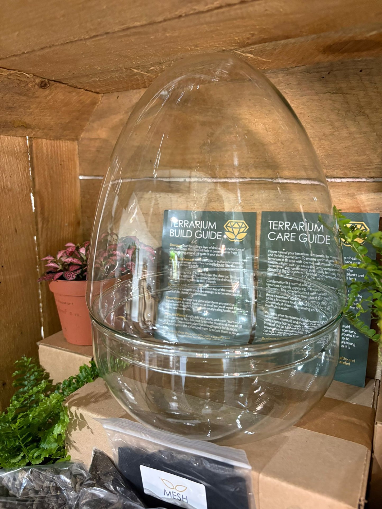 DIY Terrarium Kit - 'Edmond'