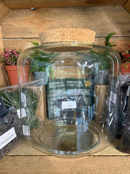DIY Terrarium Kit - 'Meg'