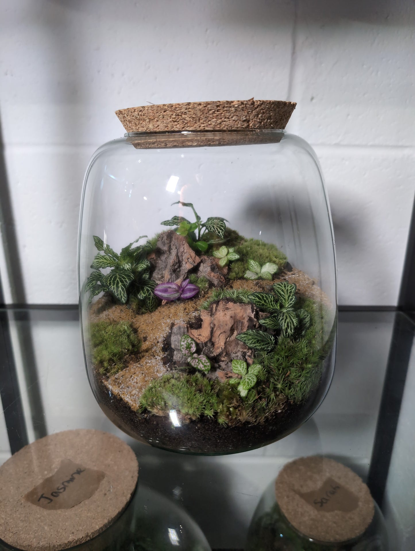 Lucy - Premade Terrarium