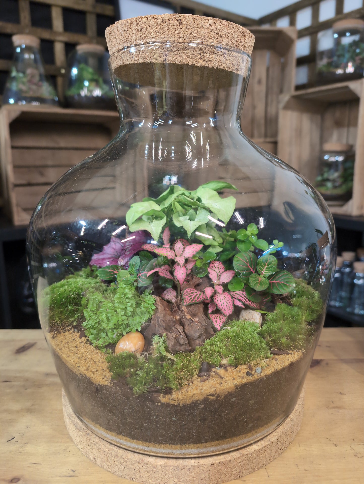 Ready-made Terrarium – Matthew Jar