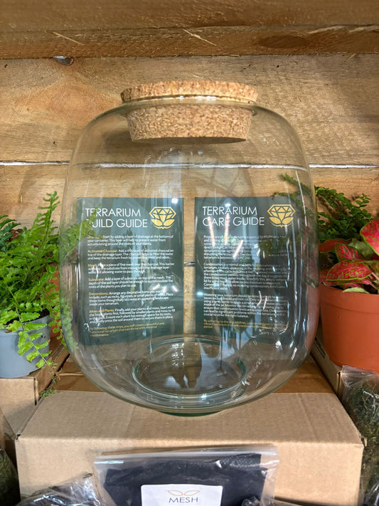 DIY Terrarium Kit - 'Archer'