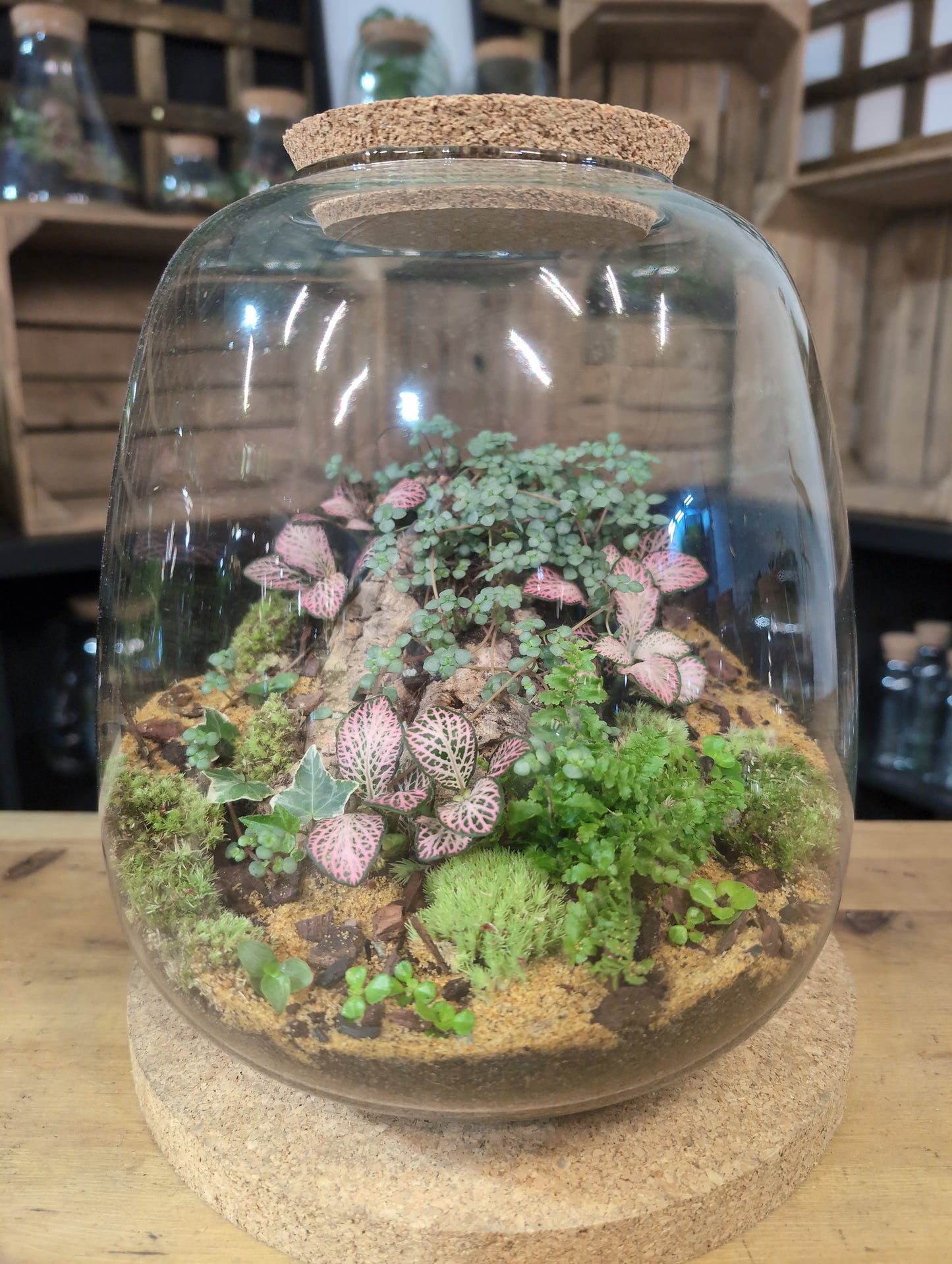 Ready-made Terrarium – Hannah Jar